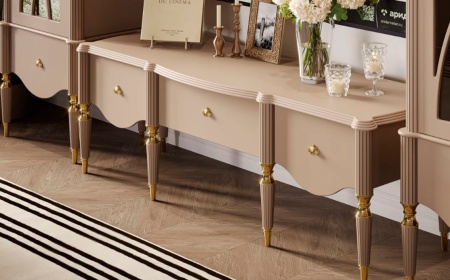 Гостиная София